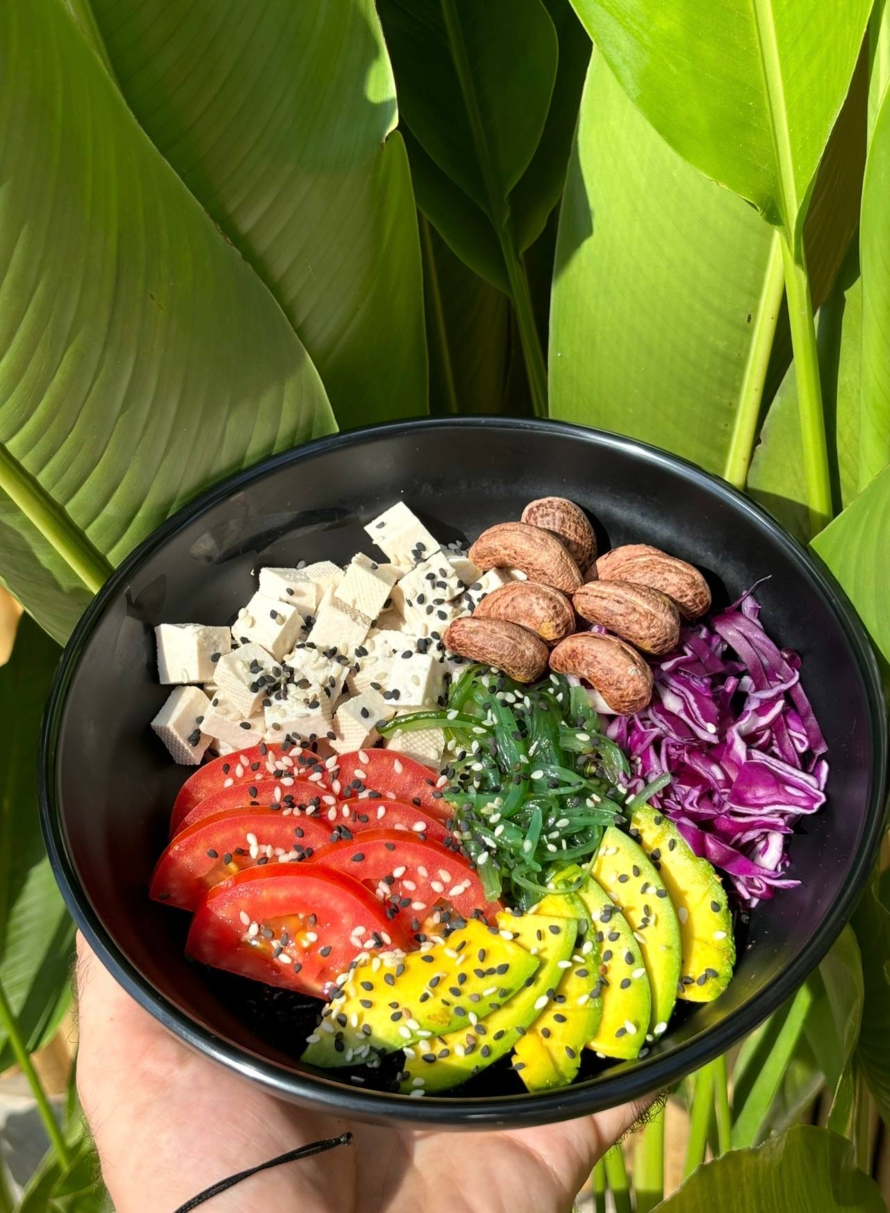 Pokebar dish