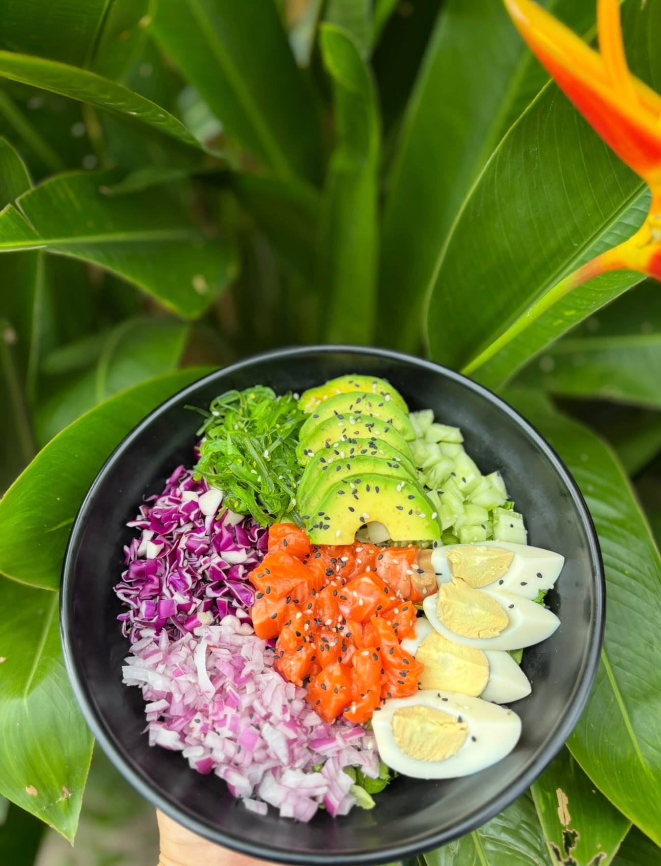 Pokebar dish